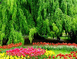 Garten-/ und Landschaftspflege ENGO-Natur, Gudrun Demmer, Kreis Bernkastel-Wittlich